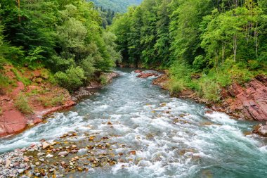 Dağ nehri ile yaz manzarası