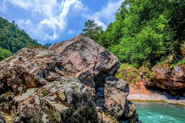 Dağ nehri ile yaz manzarası