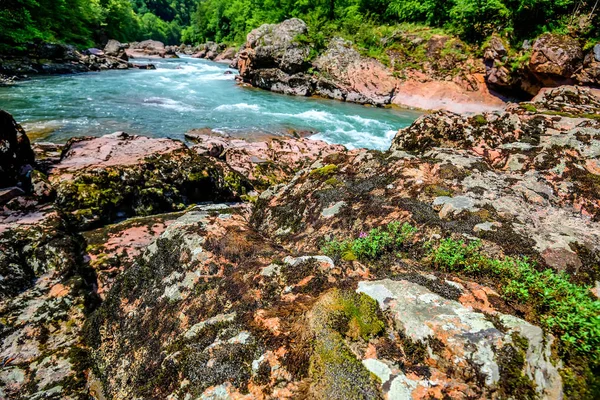 渓流と夏の風景 — ストック写真