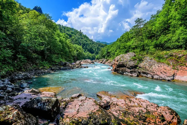 Літній пейзаж з гірською річкою — стокове фото