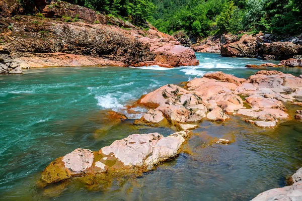 Dağ nehri ile yaz manzarası