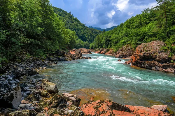 Paisagem de verão com rio de montanha — Fotografia de Stock