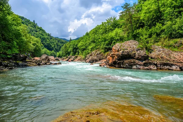 Dağ nehri ile yaz manzarası