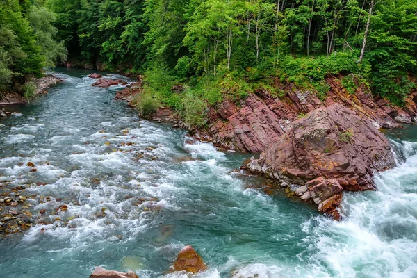 Літній пейзаж з гірською річкою — стокове фото