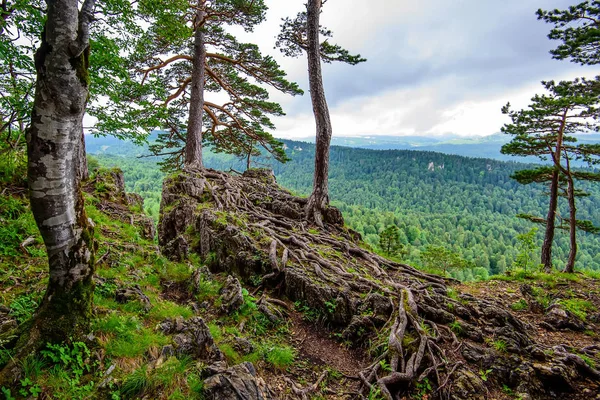山の森林と風光明媚な風景 — ストック写真