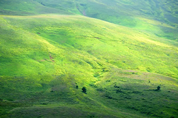 Dağ çayır doğal görünümü