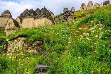 Antik Alanian Necropolis'e Kuzey Osetya