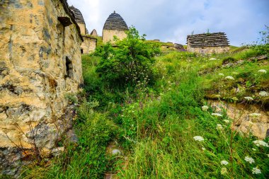 Antik Alanian Necropolis'e Kuzey Osetya