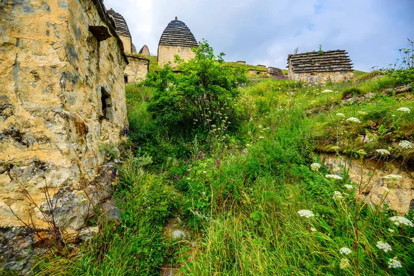 Antik Alanian Necropolis'e Kuzey Osetya