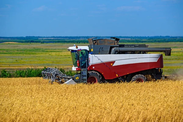 Grain harvesting combines work in wheat field — Stock Photo, Image