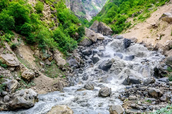 Sommerlandschaft mit wildem Gebirgsbach — Stockfoto