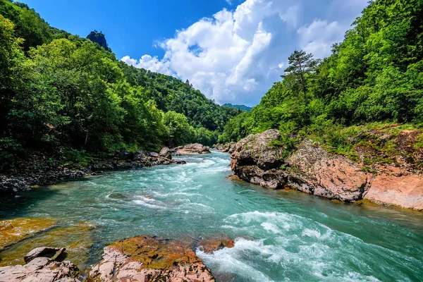 Paisagem de verão com rio de montanha — Fotografia de Stock