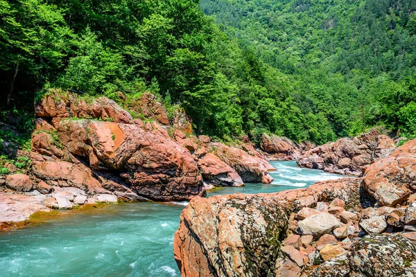 渓流と夏の風景 — ストック写真