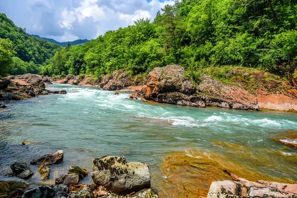 Літній пейзаж з гірською річкою — стокове фото