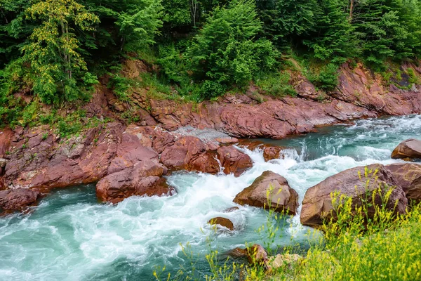 Dağ nehri ile yaz manzarası