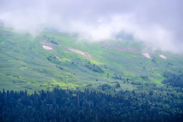 Karlı ve ormanlı dağ manzarası