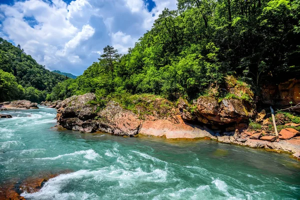 Paisagem de verão com rio de montanha — Fotografia de Stock