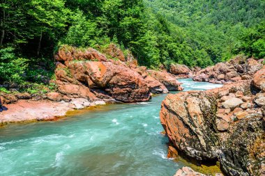 Dağ nehri ile yaz manzarası