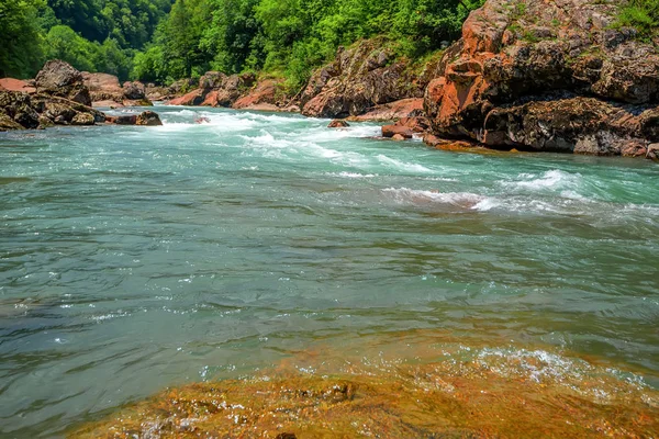 Літній пейзаж з гірською річкою — стокове фото