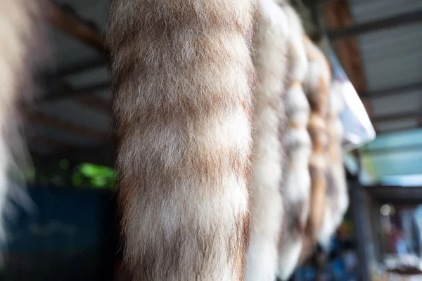 Fox tail souvenirs — Stock Photo, Image