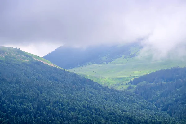 Paisaje de montaña con nieve y bosque — Foto de Stock