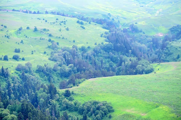 Scenic view of mountain meadow — Stock Photo, Image