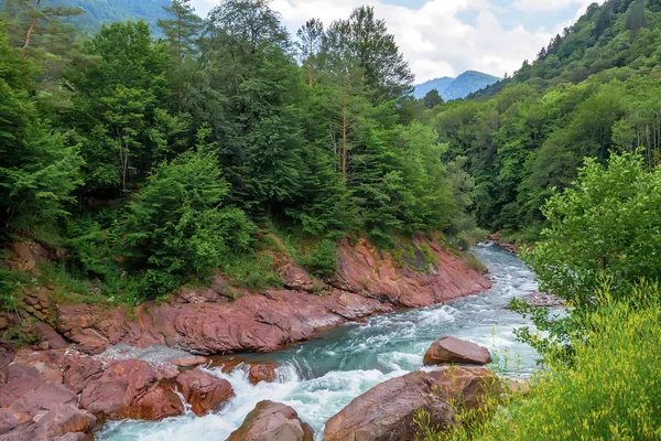 Літній пейзаж з гірською річкою — стокове фото