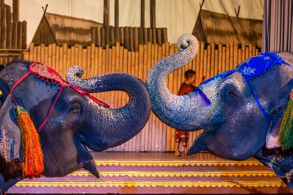 Spettacolare spettacolo di elefanti — Foto Stock