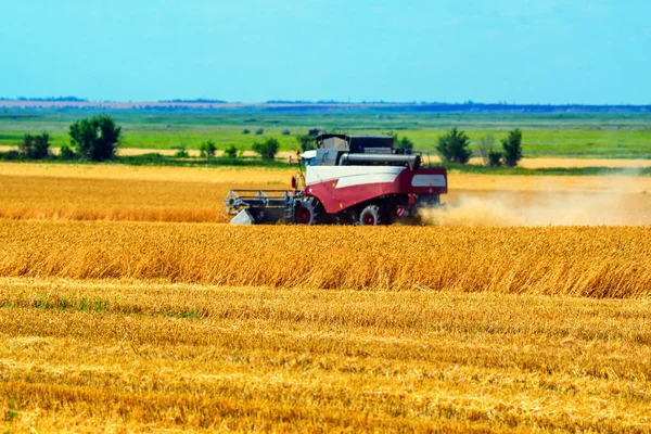 La cosecha de granos combina el trabajo en el campo de trigo — Foto de Stock