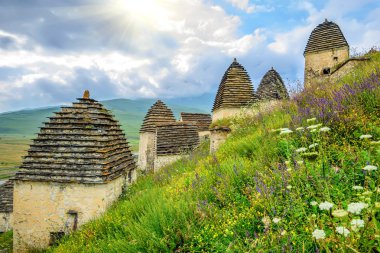 Antik Alanian Necropolis'e Kuzey Osetya