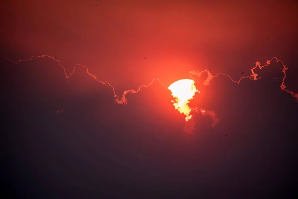 Горизонт с заходом солнца — стоковое фото