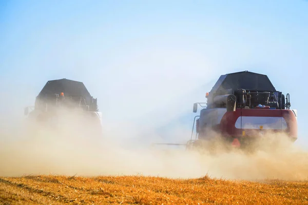 La cosecha de granos combina el trabajo en el campo de trigo — Foto de Stock