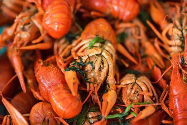 Crayfish cozido com sal e endro — Fotografia de Stock