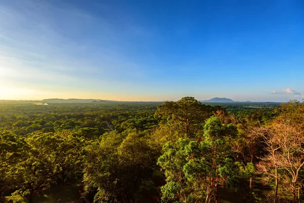 斯里兰卡热带森林的鸟瞰图 — 图库照片
