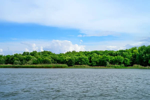 Güzel manzara nehir kıyısında yeşil ağaçlar ile