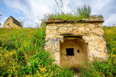 Antik Alanian Necropolis'e Kuzey Osetya