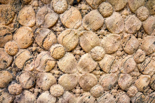 Sri Lanka kumtaşı içinde çiçek etnik patten