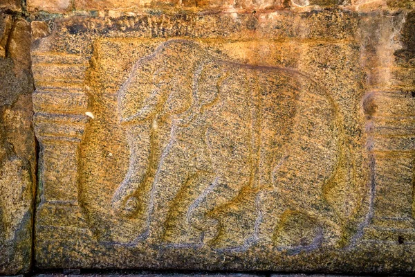 Olifant beelden van Polonnaruwa in Sri Lanka — Stockfoto