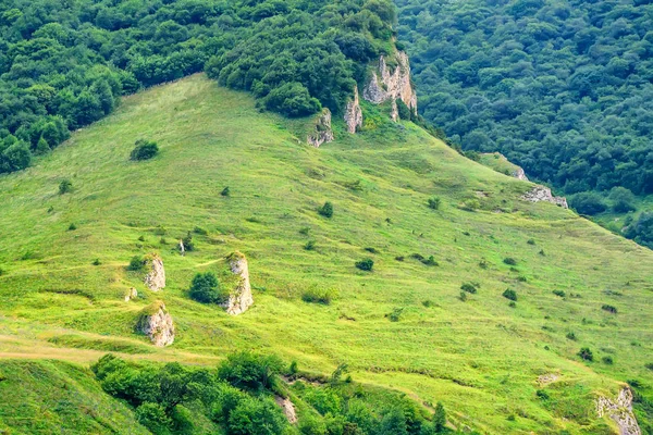 Kuzey Osetya'da dağ manzarası