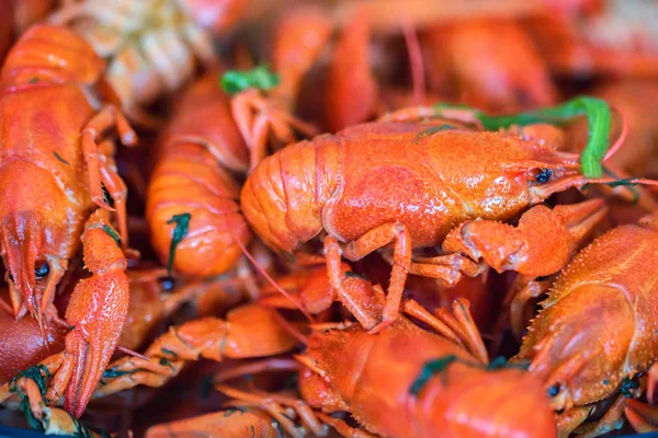 Tuz ve dereotu ile pişmiş kerevit