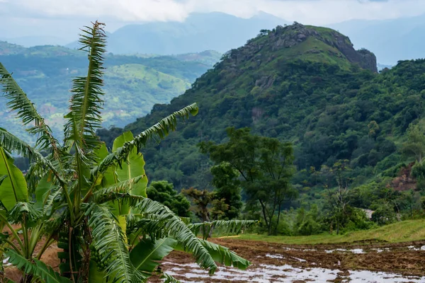 スリランカの山の村の眺め — ストック写真
