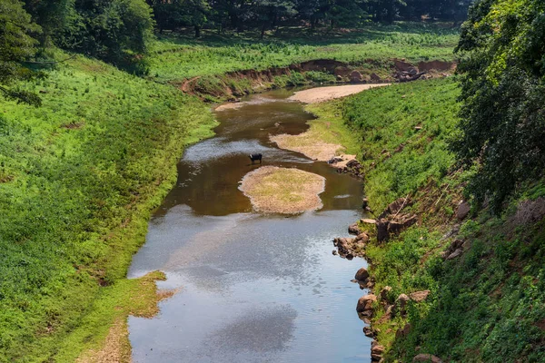 Paisaje del río en la selva de Sri Lanka — Foto de Stock