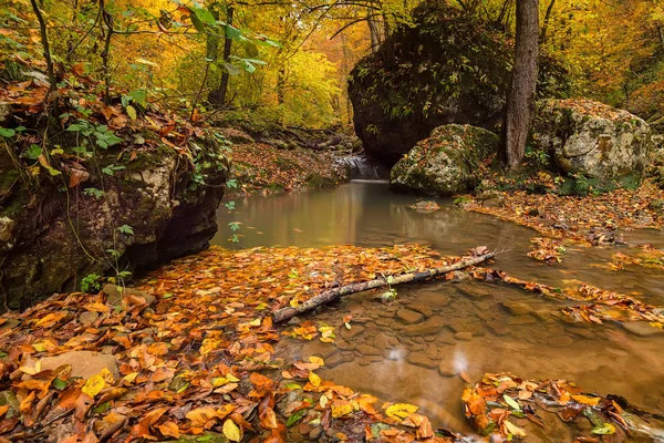 Jesień las z potoku — Zdjęcie stockowe