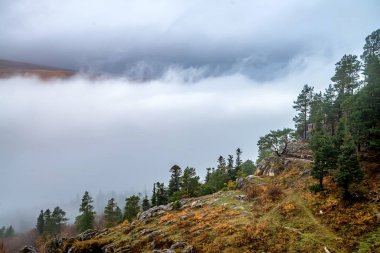 Sonbahar yatay, dağ orman