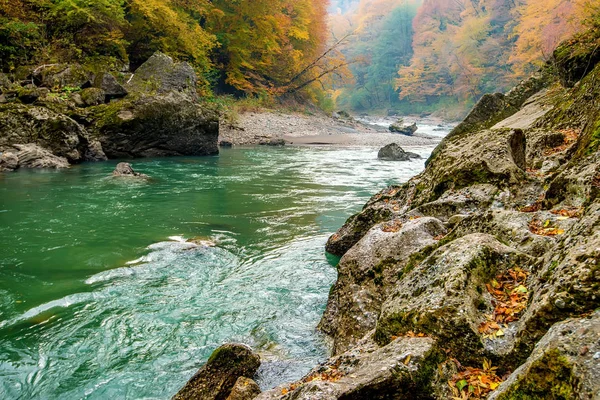 Őszi táj a hegyi folyó és erdő — Stock Fotó