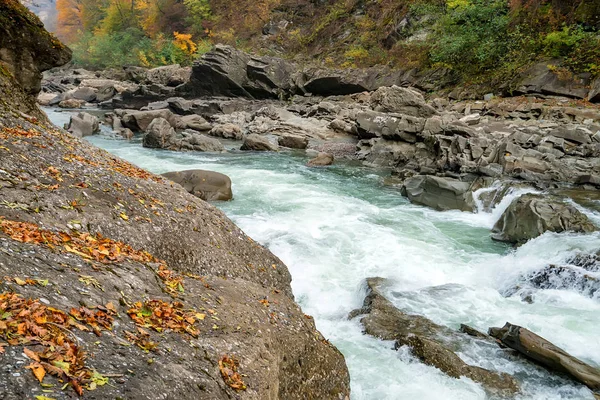 山川と森の秋風景 — ストック写真