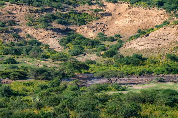 Vue panoramique de la gorge d'Olduvai — Photo