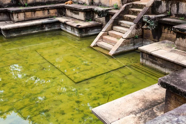 Polonnaruwa Kumara Pokuna kalıntıları