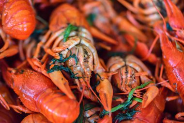 Tuz ve dereotu ile pişmiş kerevit