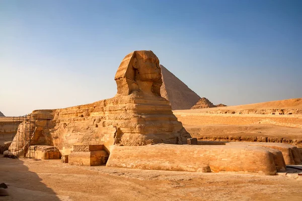 Restauration du grand sphinx de Gizeh — Photo